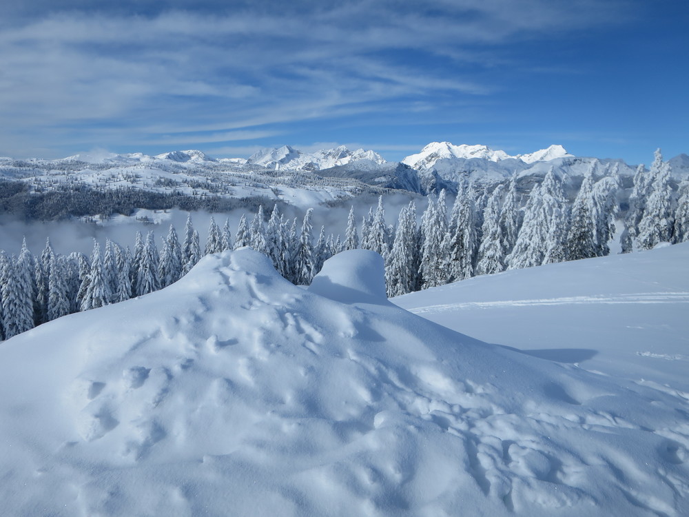 Kranjska reber
