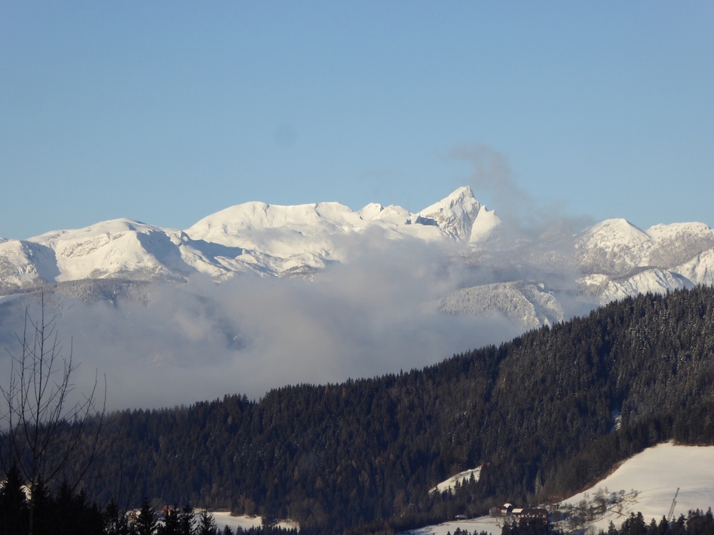 Stari Stani
