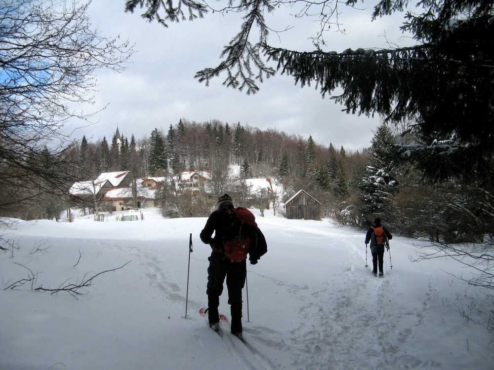 Gornje Poljane
